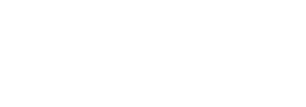 Logo satstore