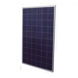 IZC Mayorista SAS